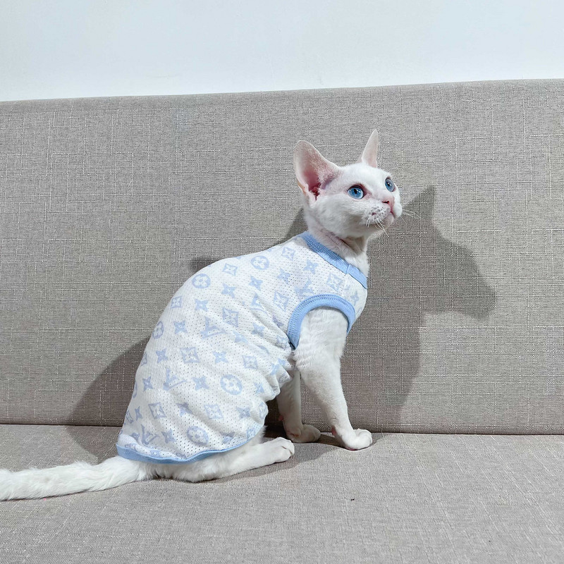 Õhukesed sfinksi karvutud kassi riided puuvillane veniv võrkvest Saksa suvised juuste väljalangemisevastased riided kassidele Sfinksi kassi riided