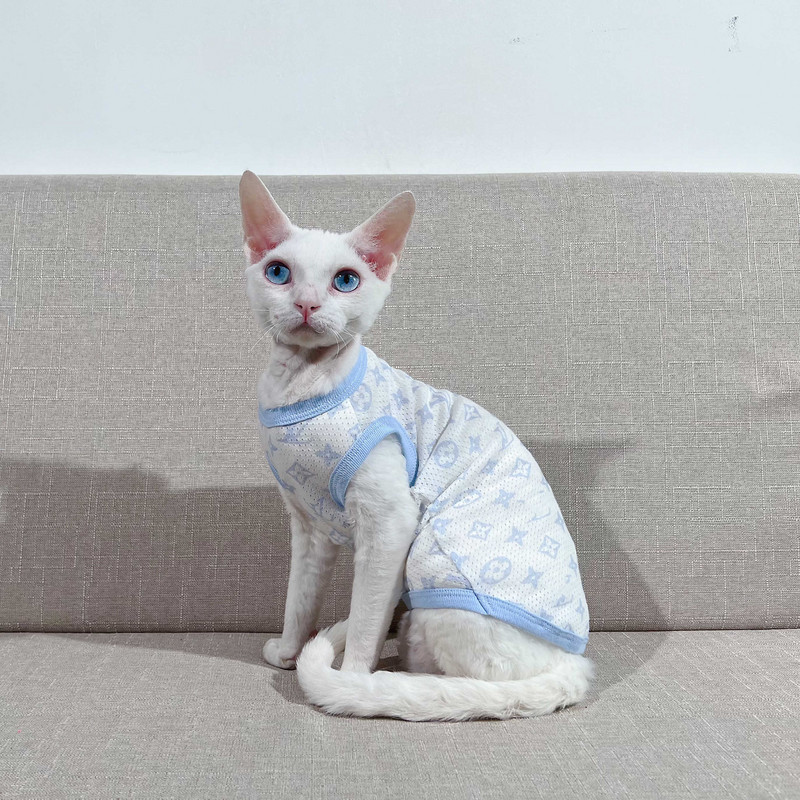 Õhukesed sfinksi karvutud kassi riided puuvillane veniv võrkvest Saksa suvised juuste väljalangemisevastased riided kassidele Sfinksi kassi riided