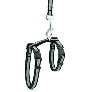 Peegeldav nailonist kassi lemmiklooma kaelarihma jalutusrihm Reguleeritav särav kassipoeg kutsika päitsed koera lemmikloomade rakmete rihm