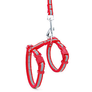 Peegeldav nailonist kassi lemmiklooma kaelarihma jalutusrihm Reguleeritav särav kassipoeg kutsika päitsed koera lemmikloomade rakmete rihm