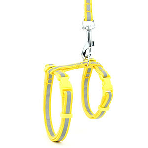 Peegeldav nailonist kassi lemmiklooma kaelarihma jalutusrihm Reguleeritav särav kassipoeg kutsika päitsed koera lemmikloomade rakmete rihm