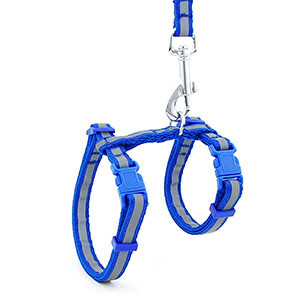 Peegeldav nailonist kassi lemmiklooma kaelarihma jalutusrihm Reguleeritav särav kassipoeg kutsika päitsed koera lemmikloomade rakmete rihm