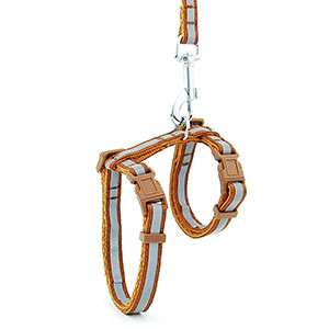 Peegeldav nailonist kassi lemmiklooma kaelarihma jalutusrihm Reguleeritav särav kassipoeg kutsika päitsed koera lemmikloomade rakmete rihm