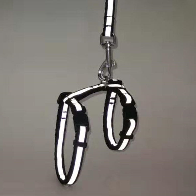 Peegeldav nailonist kassi lemmiklooma kaelarihma jalutusrihm Reguleeritav särav kassipoeg kutsika päitsed koera lemmikloomade rakmete rihm