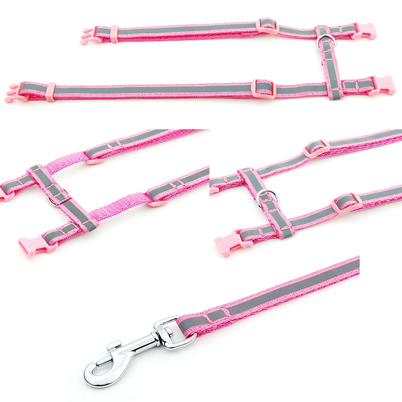 Peegeldav nailonist kassi lemmiklooma kaelarihma jalutusrihm Reguleeritav särav kassipoeg kutsika päitsed koera lemmikloomade rakmete rihm