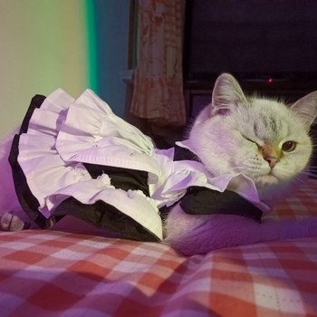 Персонализиран костюм на прислужница Лолита Рокля за котка Куче Рокля Пола Парти за рожден ден Котешка униформа Дрехи