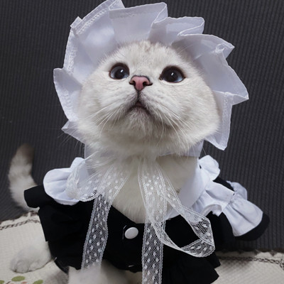 Prilagođeni kostim Lolita služavke Haljina za mačku Pas Haljina Suknja Rođendanska zabava Mačka Uniforma Odjeća