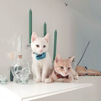 Кадифена яка за котки, бантик, регулируема предпазна катарама Gatos, папийонка, аксесоари за котки, яка за котки с камбанка, плътен цвят