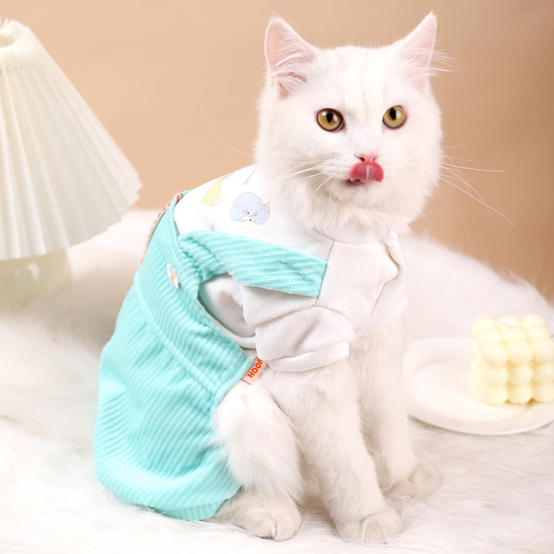 Χειμερινές φόρμες γάτας HOOPET με βελούδινο μπουφάν για σκύλους Ζεστό παλτό για γάτα Chihuahua Στολή γάτας Soft Fleece Ρούχα για κατοικίδια Προμήθειες για κατοικίδια