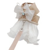 Armsad lemmikloomad kassid koerad vesti tüüpi veoköis Kassiga jalutav koer köis Rinnarihm Suur vibu Printsess Kleidid Lemmikloomatarbed