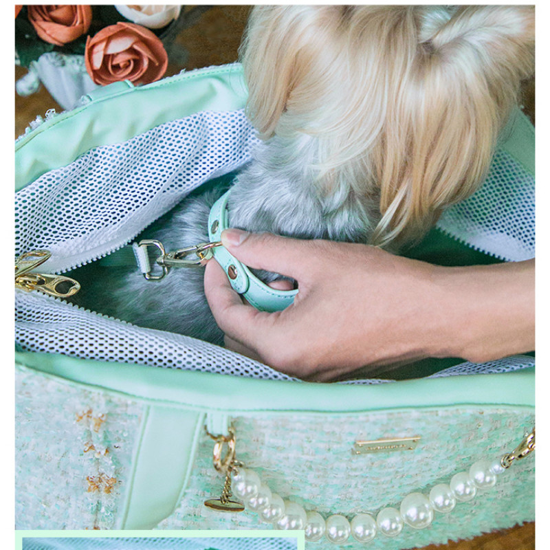 Kvaliteetne Jaapani Korea lemmiklooma kassi kott, kaasaskantav koer, väike koer, ühe õlaga kaasaskantav koerakott kassikandja seljakott