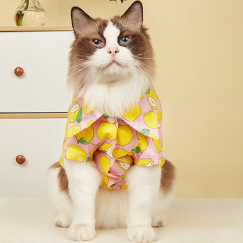 Καλοκαιρινά ρούχα για κατοικίδια Νέα ρούχα για γάτες Χαριτωμένο πουκάμισο για σκύλους πορτοκαλί με στάμπα φρούτων Ζακέτα προμήθειες για κατοικίδια Ρούχα για κατοικίδια ζώα γατούλα Ρούχα για κατοικίδια