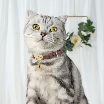 Χαριτωμένο Προσαρμοσμένο Κολάρο Γάτας Εξατομικευμένο κολάρο γάτας για μικρά σκυλιά Γάτες Γατάκια Κουτάβια κολάρα για τα ονόματα Δωρεάν αξεσουάρ χαρακτικής