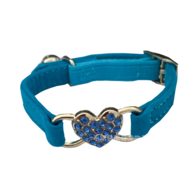 Kassi kaelarihmad koos kellukestega Kassid ja koerad Lemmikloomad Kassid ja koerad Kaelarihmad Super heledad kassitarvikud Väikesed koerad ja kassipojad Lemmiklooma kaelarihmad