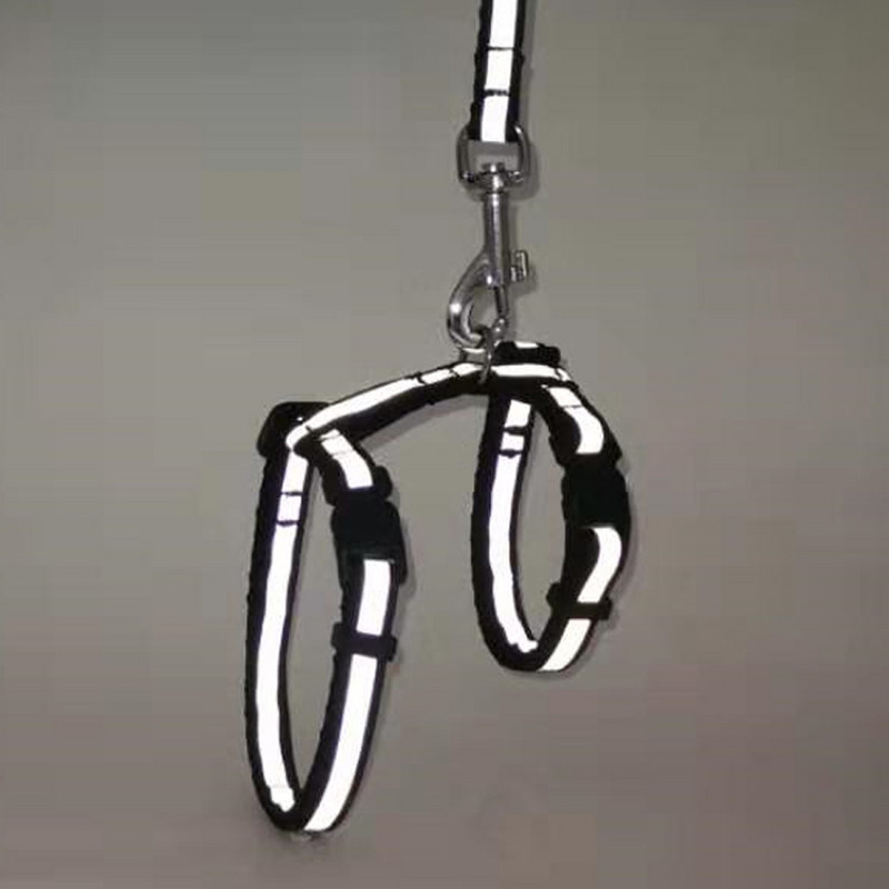 Mačka Ogrlica za pse Povodac Podesivi najlonski pojas za nošenje kućnih ljubimaca Ogrlica za mače Mačiće Proizvodi za mačke Reflektirajući pojas za pojas za kućne ljubimce