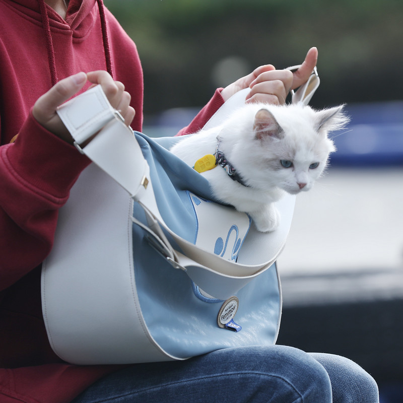 Torba za pse Torba za nošenje s mekim bočnim stranama Ruksak za mačke Nosilice za kućne ljubimce Putne torbe za pse Zrakoplovni prijevoz odobren za male pse Mačke Odlazni