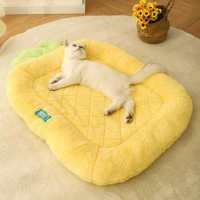 HOOPET Ananassikujuline kassimatt S/M paks lemmikloomapadi Talvine mugav pesa kassidele Kassipoeg kutsikas Hea välimusega koeradiivan Lemmikloomatarbed