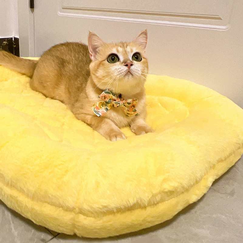 HOOPET Ananassikujuline kassimatt S/M paks lemmikloomapadi Talvine mugav pesa kassidele Kassipoeg kutsikas Hea välimusega koeradiivan Lemmikloomatarbed