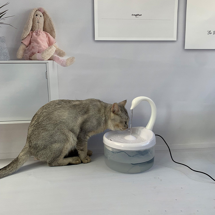 2L fontana za mačke LED plavo svjetlo Automatski dispenzer vode s USB napajanjem Hranilica za mačke Filter za piće za fontanu za mačke