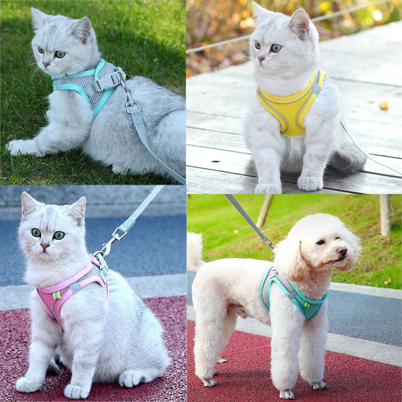 Pet Mačji pojas i povodac Set Reflektirajući prozračni pojas za mačke Podesivi udobni pojas za pse za mače Potrepštine za kućne ljubimce