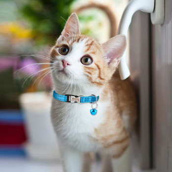 Προσαρμοσμένο κολάρο γατάκι Ρυθμιζόμενο νάιλον χαραγμένο γιακά για γάτα Προμήθειες για μικρά μεσαία μεγάλα προϊόντα για κατοικίδια ζώα Unisex