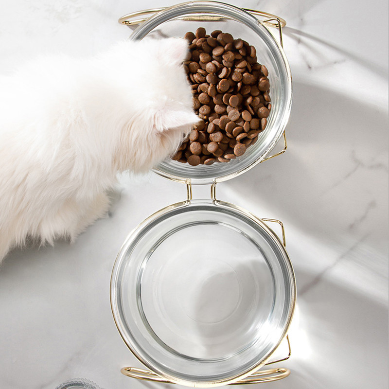 Kahekordne kassikauss, läbipaistev rohust koerakauss koos alusega lemmiklooma toitmise veekaussiga koertele kassidele, lemmikloomade söötmiskausid