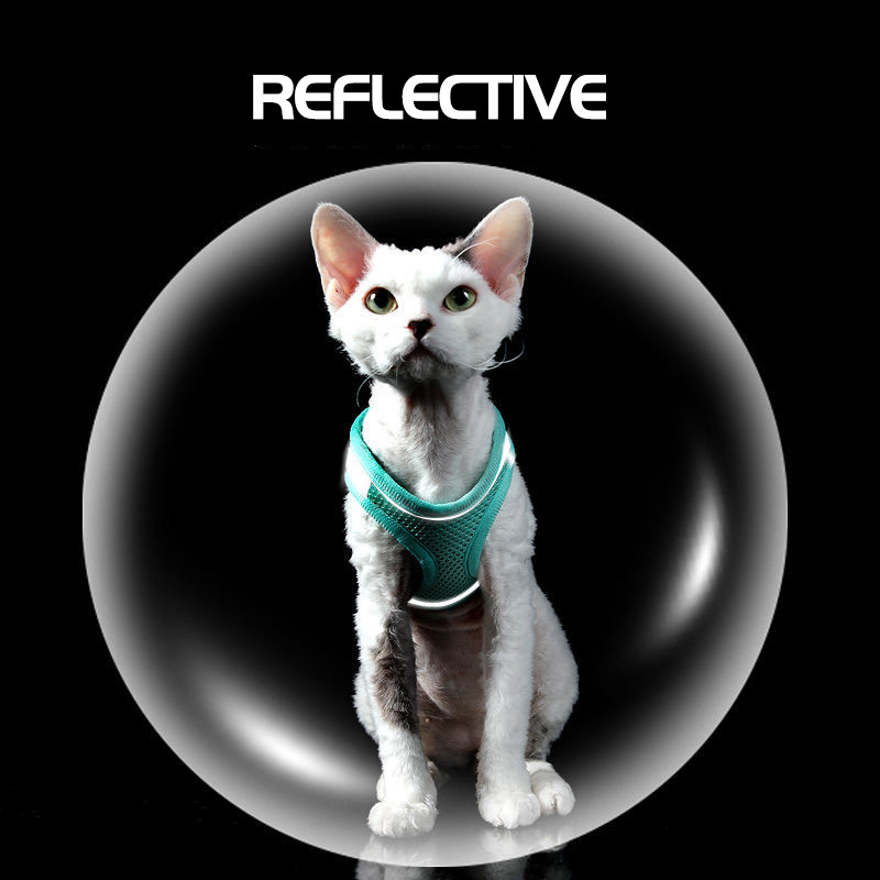 Vestă cu ham respirabil pentru pisici, curea reglabilă în piept pentru pisoi, ham reflectorizant pentru cățeluș și set de curele de lesă pentru lucruri pentru câini de talie mică