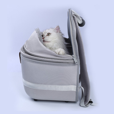 Чанта за котка Външна чанта за домашен любимец Раница за носене Раница Дишащи преносими мрежести чанти за пътуване за малки кучета Котки Кученца