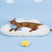 Pat pentru pisici, drăguț din desene animate, câine mic, pernă de pat pentru pisici, toamnă, iarnă, de pluș, caldă, pat pentru pisici, covoraș pentru casă, accesorii pentru animale de companie