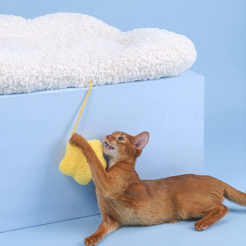 Pat pentru pisici, drăguț din desene animate, câine mic, pernă de pat pentru pisici, toamnă, iarnă, de pluș, caldă, pat pentru pisici, covoraș pentru casă, accesorii pentru animale de companie