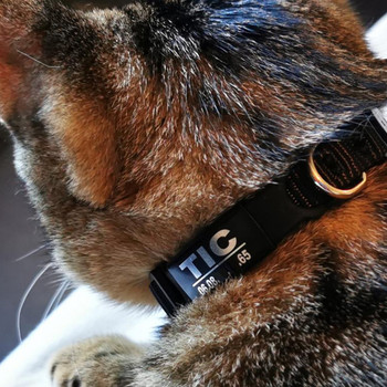 Карирана котешка яка Персонализиран ID Нашийници за малки кучета Безопасна катарама Без гравиране Регулируема с камбанка за Кученца Котенца Колие