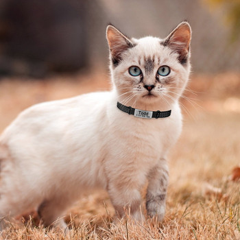 Регулируемо персонализирано име Найлонова котка Персонализирана идентификация Яка Звънец Продукти за домашни любимци Малки бързо отделящи се унисекс консумативи за коте Етикет за котки