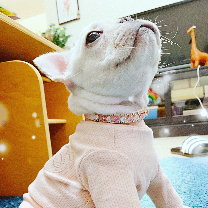 Luksuzno mačje štene Biserna ogrlica Ogrlica sa kamenčićima za mačke Male pse Ragdoll mačka sfinks ogrlice Pribor za kućne ljubimce kolier chat