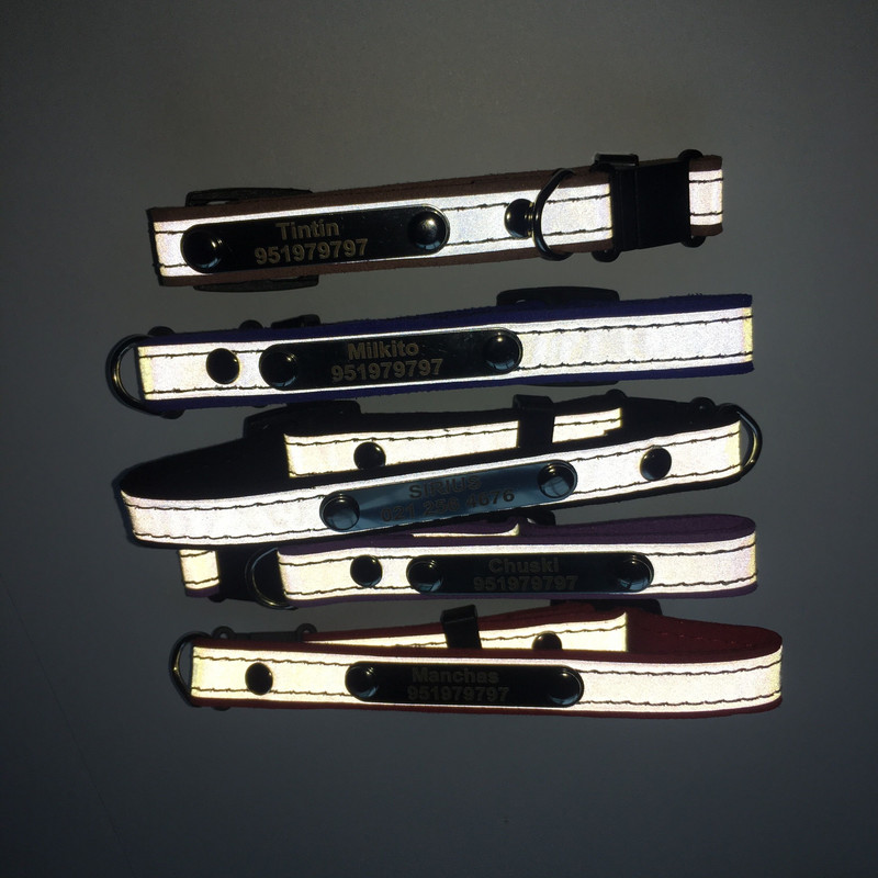 3 σε 1 Χαραγμένο κολάρο γάτας Ανακλαστικό γατάκι Ετικέτα Αριθμός τηλεφώνου Πινακίδα γιακά κουταβιού Γούρια Μικρή δερμάτινη αλυσίδα σκύλου Ετικέτα ταυτότητας κατοικίδιου