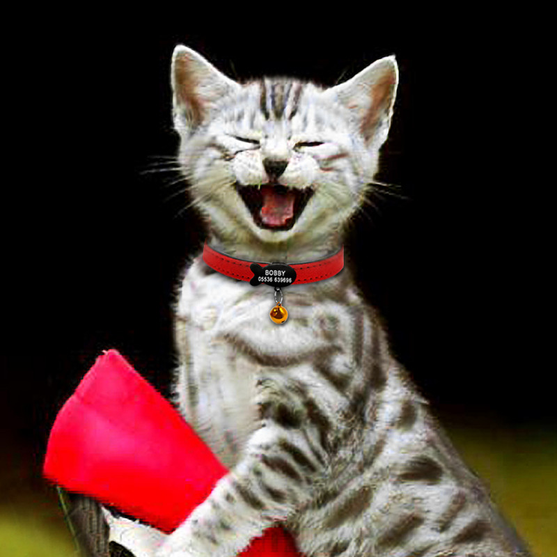 Pehme kellukesega koera kassi kaelarihm Isikupärastatud turvakassi nime ID kaelarihmad ja siltide komplekt Koerakassi tarvikud Väikeste lemmikloomade kutsika kaelarihmad