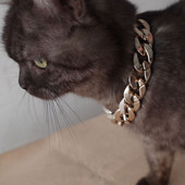 Zgarda pentru animale de companie Colier pentru câini și pisici Lungime reglabilă Lant punk personalizat Accesorii foto pentru câini mici Articole sigure pentru animale de companie