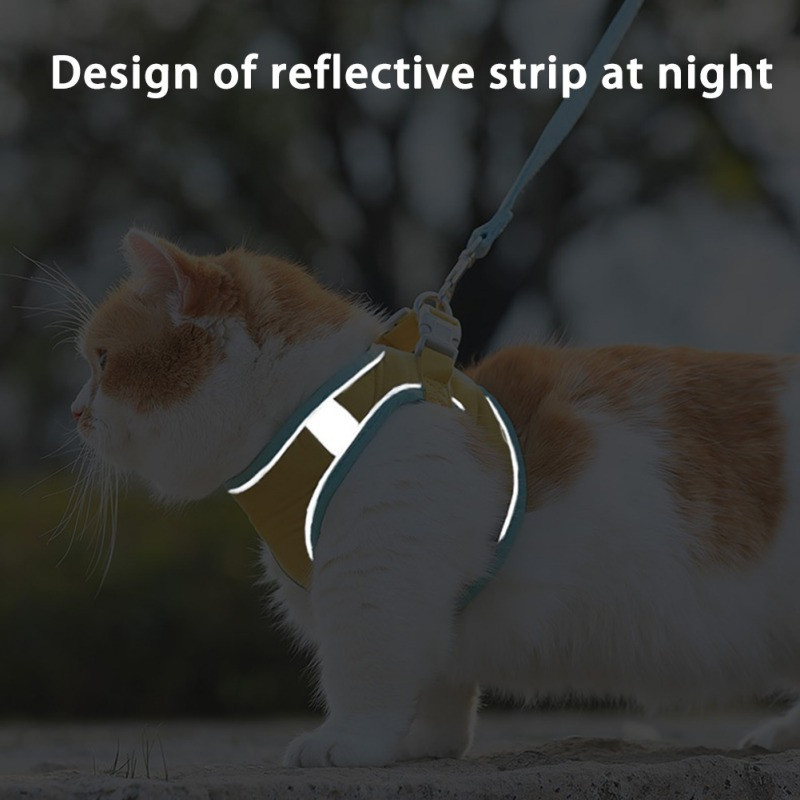 Lemmikkassi rakmed Vest peegeldav kassi koera rakmed ja jalutusrihma komplekt Chihuahua mopsile väikese keskmise rinnarihmaga jalutusrihm