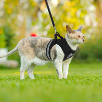 Котка куче регулируем колан лятна жилетка ходене олово каишка въже за малки средни кученца нашийник полиестерна мрежа отразяваща харна
