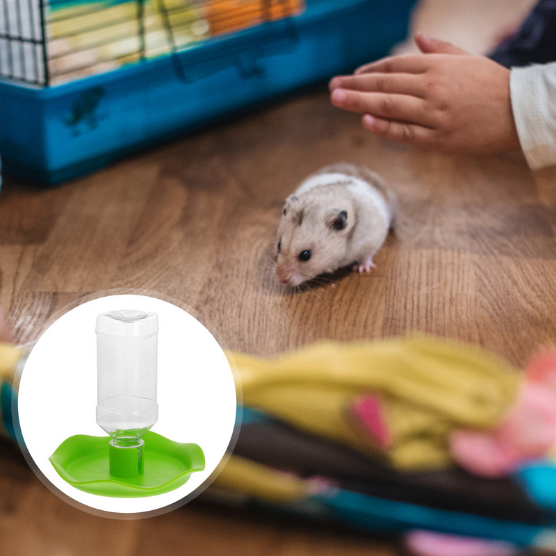 1PC Lizard Bowl Reptile Bowl Lizard Bowl for Reptiles Lizard Dispenser