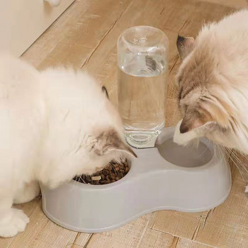Αντιολισθητικά σκυλιά κατοικίδιων ζώων Γάτες Διπλά μπολ Τροφοδοσία νερού τροφής για σκύλους γάτας Ποτό μπολ για γάτες Τροφοδότης κατοικίδιων ζώων Προμήθειες προϊόντων
