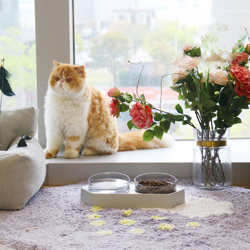 Kvaliteetne topelt kassikaussiga koeralemmikloomad statiiviga toitmiskassid vesikaussi toit lemmikloomakausid söötmistoode AS toiduplastikust