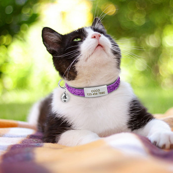 Персонализиран бързо освобождаващ се котешки нашийник Bling Puppy Kitten ID Tag Collars Bell Safety Персонализиран гравиран етикет с име за малки кучета Котки