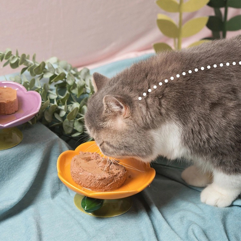 Bol din ceramică pentru pisici, în formă de floare pentru animale de companie, cu picioare înalte, lighean pentru hrănire.