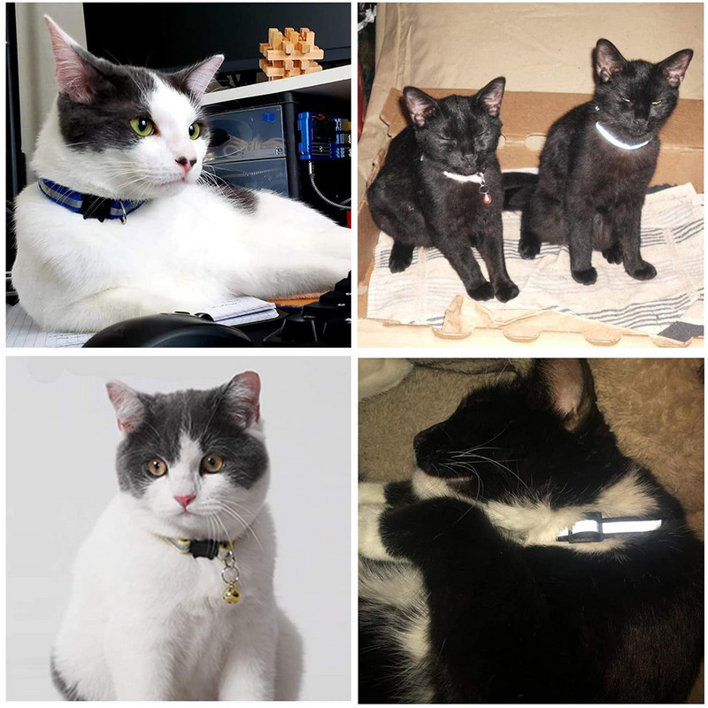 Guler reflectorizant reglabil pentru pisici Clopoțel Produse pentru animale de companie Guler pentru pisici mici Materiale unisex pentru pisoi Etichetă personalizată de identificare pentru pisici Guler pentru câini mici