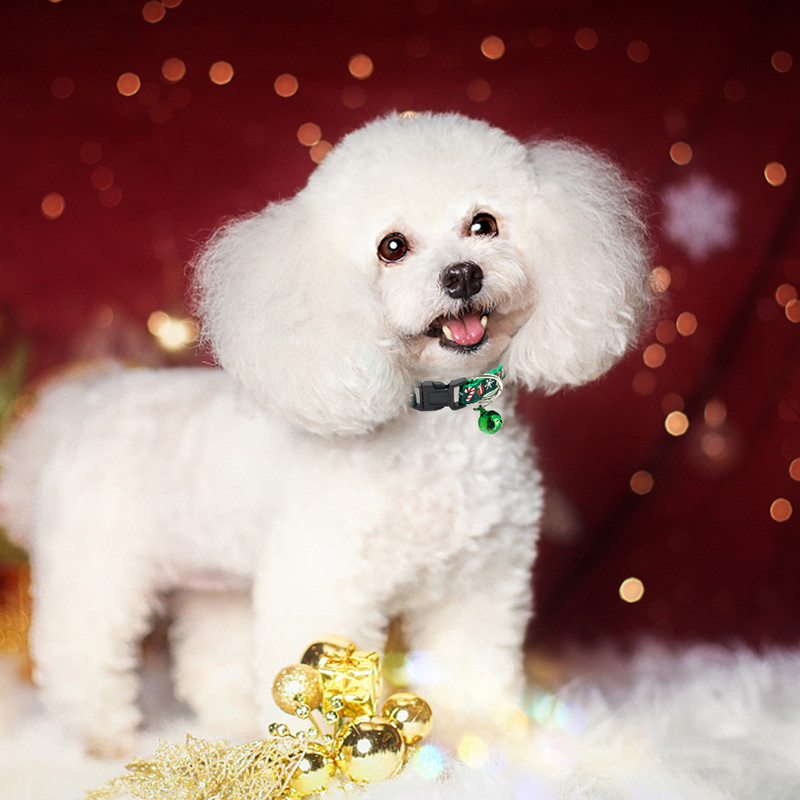 Lemmikloomade jõulukaelarihm koos kellukesega Reguleeritava kassi kaelarihmaga pannal Isikupärastatud koera kaelarihm Väikese koera kutsika koera tarvikud Lemmikloomatarbed