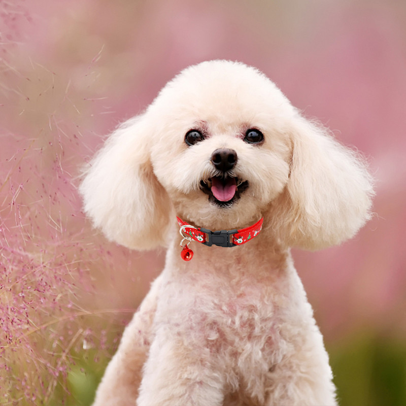 Lemmikloomade jõulukaelarihm koos kellukesega Reguleeritava kassi kaelarihmaga pannal Isikupärastatud koera kaelarihm Väikese koera kutsika koera tarvikud Lemmikloomatarbed