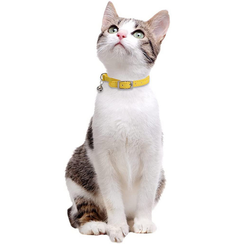 Δερμάτινο κολάρο γάτας Ασφάλεια με ελαστικό λουρί και κολάρο γατούλα καμπάνα για μικρά κατοικίδια Γάτες Kitty Μπλε Κόκκινο Πορτοκαλί Πράσινο Ασβέστη