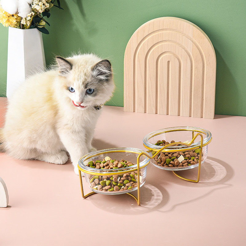 Sticlă cu castron dublu pentru pisici cu suport și covoraș pentru animale de companie Pisicuțe Cățeluș Vase de hrănire transparentă pentru hrănire Hrănitor de apă Suporturi metalice pentru câini