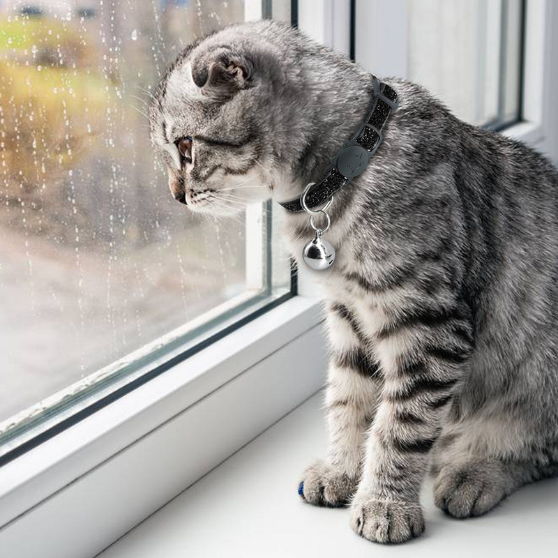 2021. aasta lemmiklooma kassi kaelarihm Bell Breakaway moega reguleeritav kassipoeg kassi litriga kaelarihm Kaelarihm Kassitarvikud Lemmikloomatarbed