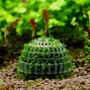 1PC Аквариум Moss Ball Filter Направи си сам аквариум Прозрачен държач за растения за озеленяване Fish Tank Moss Ball Филтър за живи растения Домашен декор